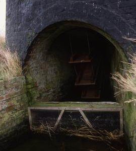 "Halvergate Marshes, Muttons Mill" Culvert