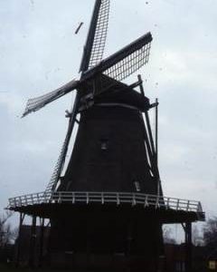 "De Bijenkorf, Gemert, paper/corn"