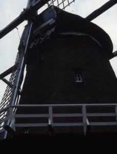 "De Bijenkorf, Gemert, paper/corn"