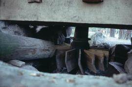 "Skansen Norse Mill Wheel"