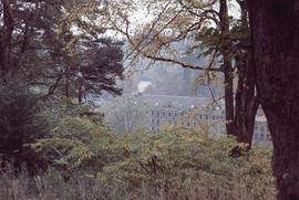 "New Lanark. Mill in Trees."