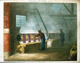 "Barlow, Dyeing No 11."