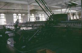 "Chipping Norton Mule"