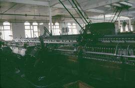 "Chipping Norton Mule"