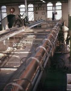 "Chipping Norton Mule"