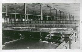 "Bollington Clarence Mill, Mules"