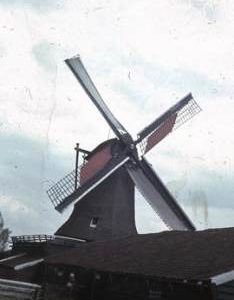 "Zaan Schoolmeester"