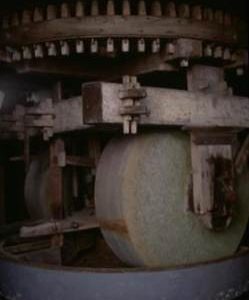 "Netherlands, Schoolmaster, Kollergung"