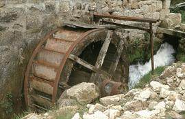 Ambert Lagat Mill Wheel