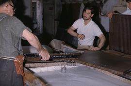 "Papermaking. Hayle "