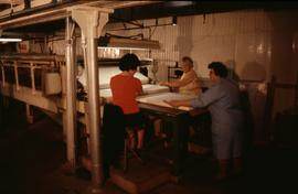 "Paper Sizing. Hayle Mill."