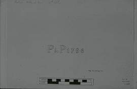 "Watermark Wove P&P 1796"