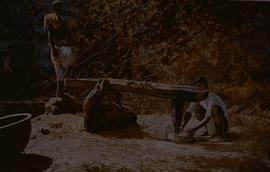 "Paper India Beater."