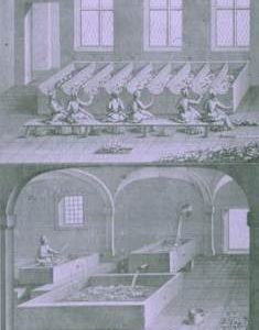 "Paper. France, Rag sorting & cutting."