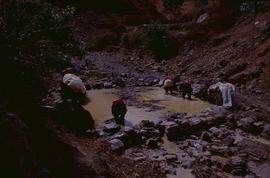 China. Long Zu. Washing mulberry in stream