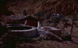 China. Long Zu. Mulberry Cooker.