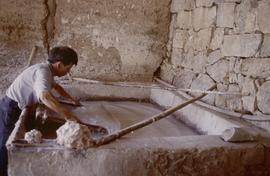 China. Long Zu. Vatman dipping mulberry.