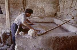 China. Long Zu. Vatman dipping mulberry.