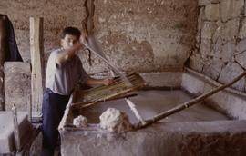 China. Long Zu. Vatman taking off screen mulberry.