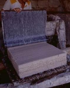 China. Long Zu. Couching mulberry