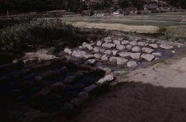 China. Long Zu. Bamboo soaking pits.