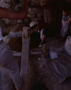 China. Long Zu. Stamper. Woman stirring pulp.