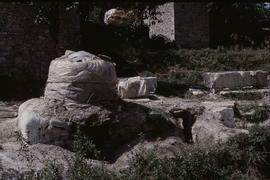 China, Luoping Mo Bu Mill Cooker Mulberry.