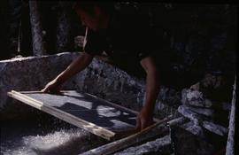 China - Luoping Mo Bu Mill, mulberry vatman about to dip.