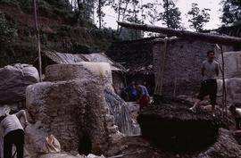 China - Zhenfeng. Cookers for mulberry Long Jin