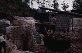 China - Zhenfeng. Long Jin mulberry. Cookers