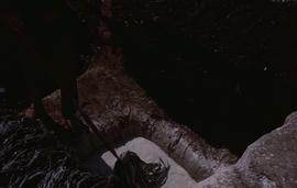 China - Zhenfeng. Long Jin. Dipping mulberry in lime.