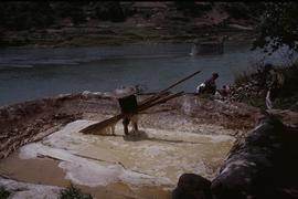 China, Kaili. Ping Liang, taking bamboo from soaking pit.