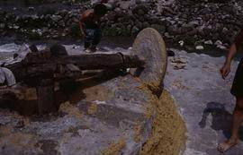 China - Kaili. Ping Liang. Close up at Kollergang.