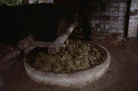 China - Sanshui - Jie Pai Mill Ox Kollergang. Bamboo