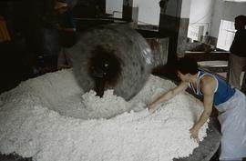 Chao Xai Mill, Kollergang & Pulp