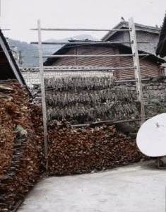 Sanba Paper Mill - Drying racks in yard
