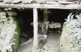 Sanba 'Norse' Mill Wheel