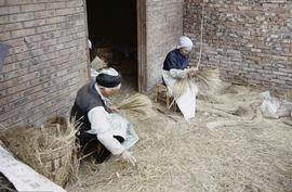 Jia Jiang Mill. Stripping Dragon Beard grass