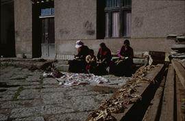 Dege Papermaking Cleaning off bark