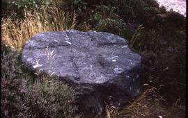 Auxiliary equipment - Millstone