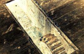 Skidby Mill, Yorkshire, Nuts