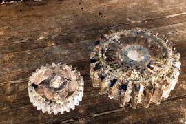 Skidby Mill, Yorkshire, Nuts