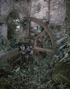 Howsham Spur Wheel