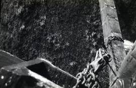 View from top of Brill Windmill of stock being raised