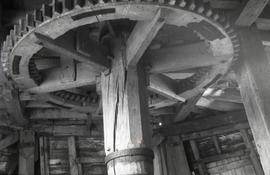 Lacey Green - great spur wheel