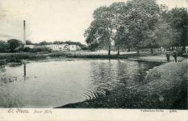 St Neots, Paper Mills