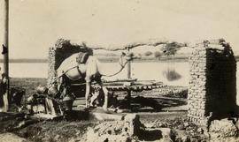 Egyptian Camel Noria