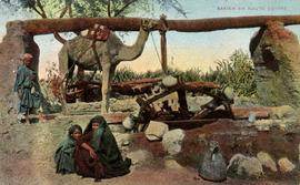 Egyptian Camel Noria