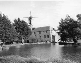 View across the millpond, Hackett's Mill, West Ashling
