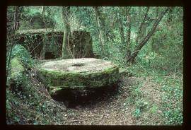 Part of derelict watermill building with millstone nearby; woodland location
